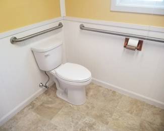 Toilet; grab bars