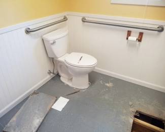 Toilet; grab bars