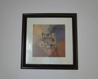 Tiger picture
