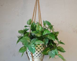 Faux plant, yes we only have one of these at this sale