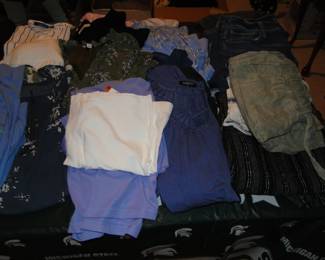 Clothing, most brand new.  Women's sizes XL all the way to 3X.  All in perfect condition