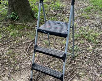 step ladder
