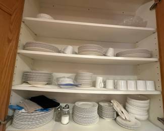 Mikasa Maxima dish set