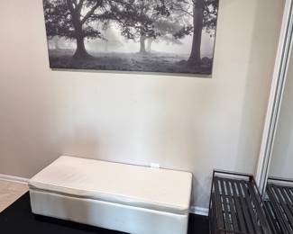 Storage chest ottoman, metal rack and black and white art.