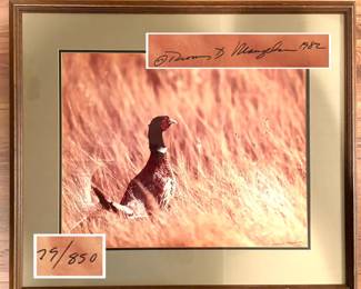a limited edition photographic print by wildlife photographer Thomas D. Mangelsen.