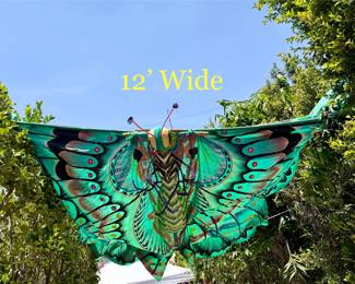 Beautiful Butterfly