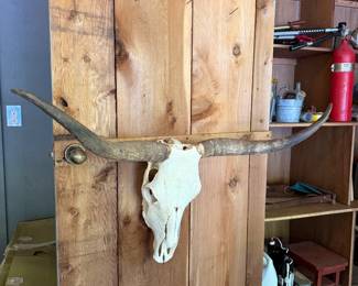 Longhorn