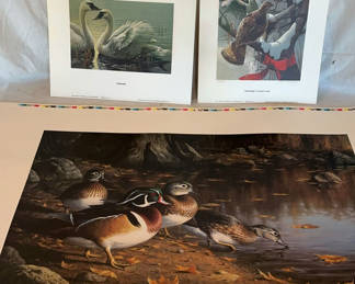 Lot 131: Bird Prints