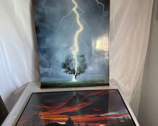 Lot 21: Framed Nature Prints