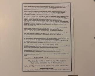 L78 - $15. Ted Schiffman Wolf Watch signed Print. Measures 13" x 16" framed.