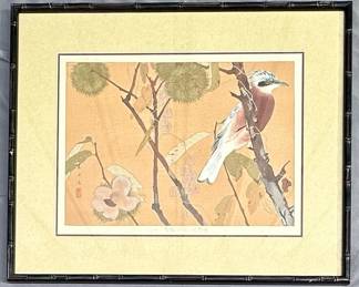 Rakuzan, Chestnut And Jay 