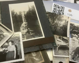 Lot 136: Lot Vintage Photos NH Nature Police