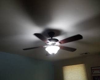 Lighted ceiling fan