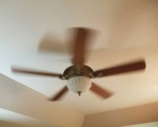 Lighted ceiling fan