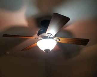 Lighted ceiling fan