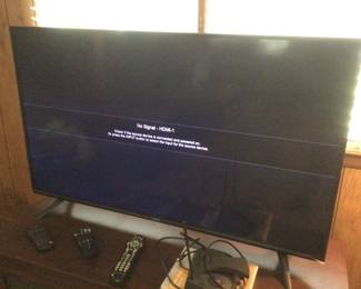 Vizio TV (on legs) - does power on