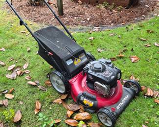 Murray push mower with bager (not locked up but couldn't crank)