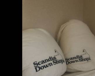 Scandia down shops!