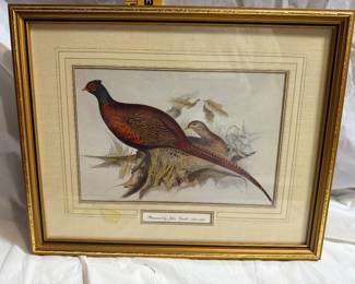 Pheasant by John Gould $85.00
