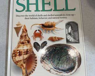 Shell By Eyewitness Books Book $3.00