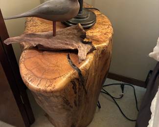 taxidermy