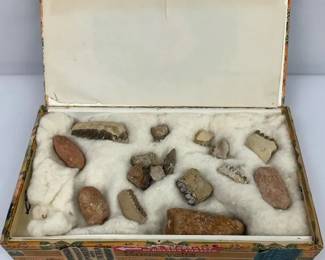 Home Collection Of Rocks And Possible Fossils