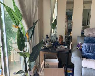 Glassware, fake plants.