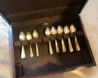 Silver Spoon Set