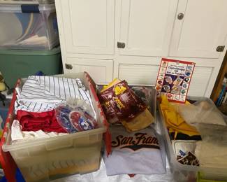 Sew Youre Into Sports Lot