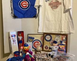 Chicago Cubs Fan Lot