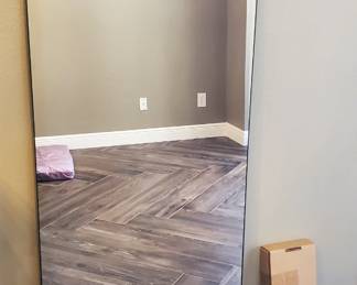 $250 The Mirror