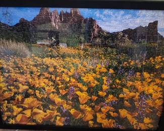 $10 puzzle picture