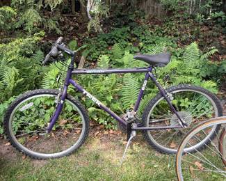 Trek Bike