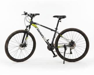Giant Revel 29er Mountain Bike