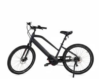 2018 IZIP Zuma Luxe with a Bosch Active Line Plus Motor Electric Bike