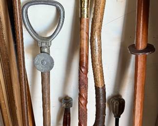Walking sticks