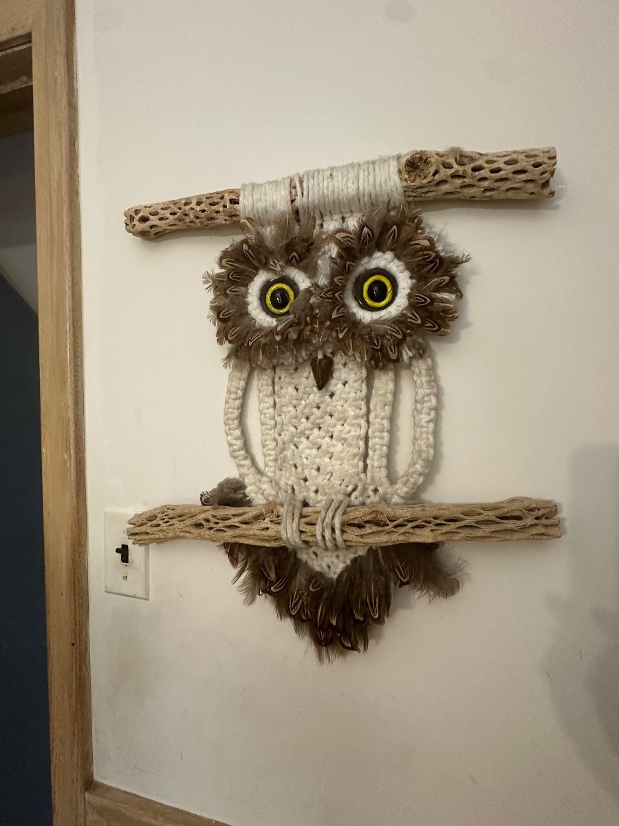 Macrame owl wall hanging
