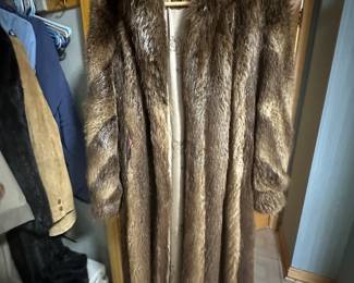 Full length beaver
