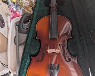 Violin