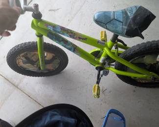 Teenage Mutant Ninja Turtles Bike