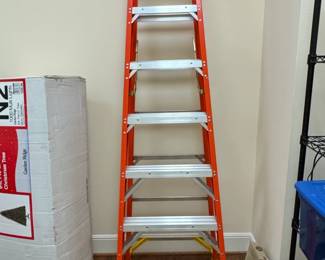 Werner ft. Fiberglass Step Ladder