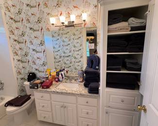Bathroom Vanity with Granite Countertop and Birdcage Wallpaper