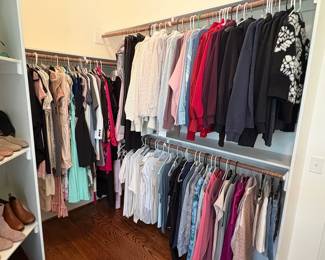 Assorted Womens Contemporary Apparel Collection