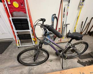 Schwinn Suburban ALX Speed Hybrid Bicycle