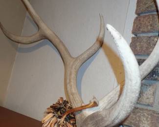 ANTLERS