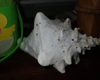 SEA SHELL