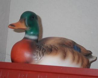 DUCK