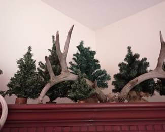 ANTLERS