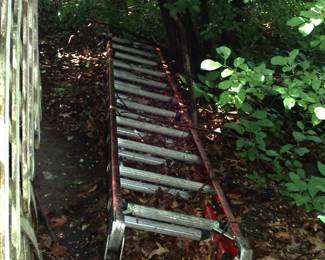 LADDER