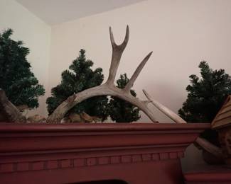 ANTLERS